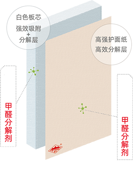 钱柜qg777(中国游)唯一官方网站